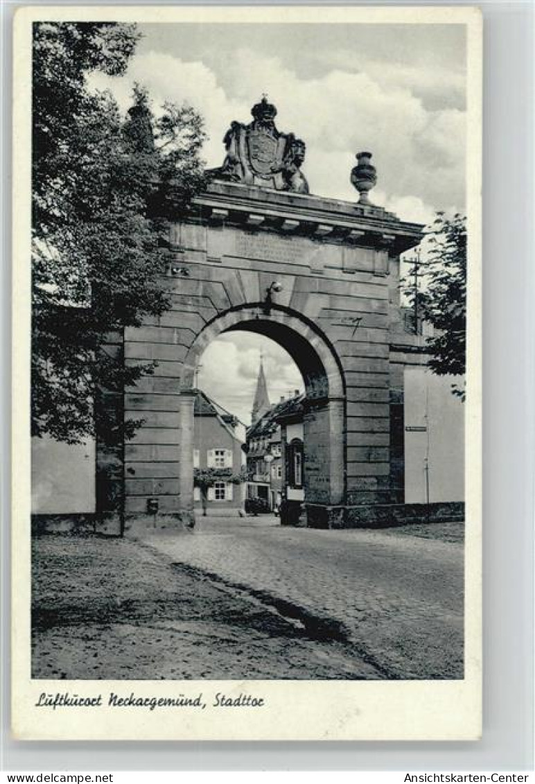 10047017 - Neckargemuend