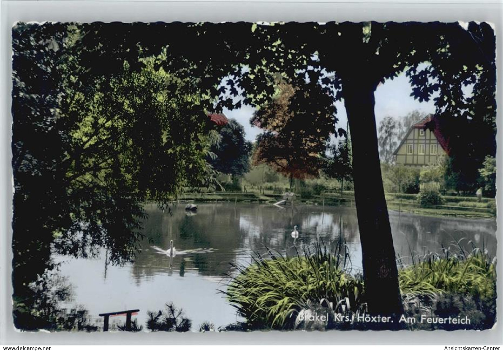 10055117 - Brakel , Westf