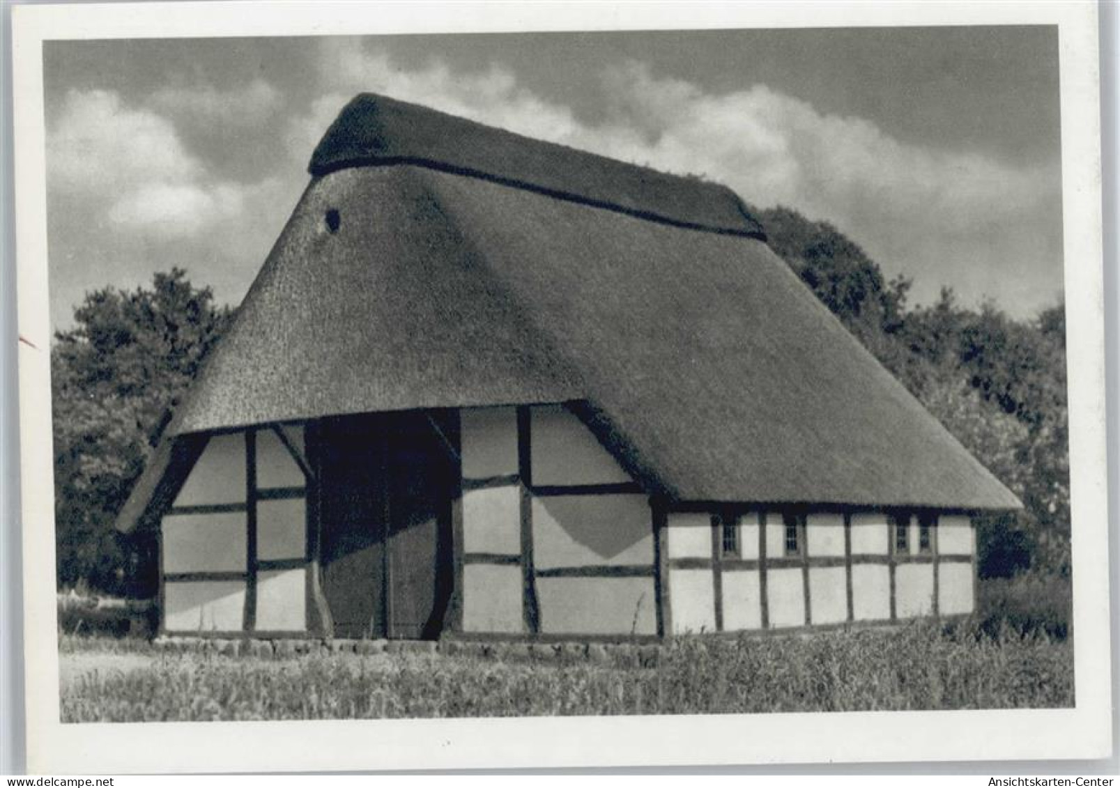 10056423 - Cloppenburg