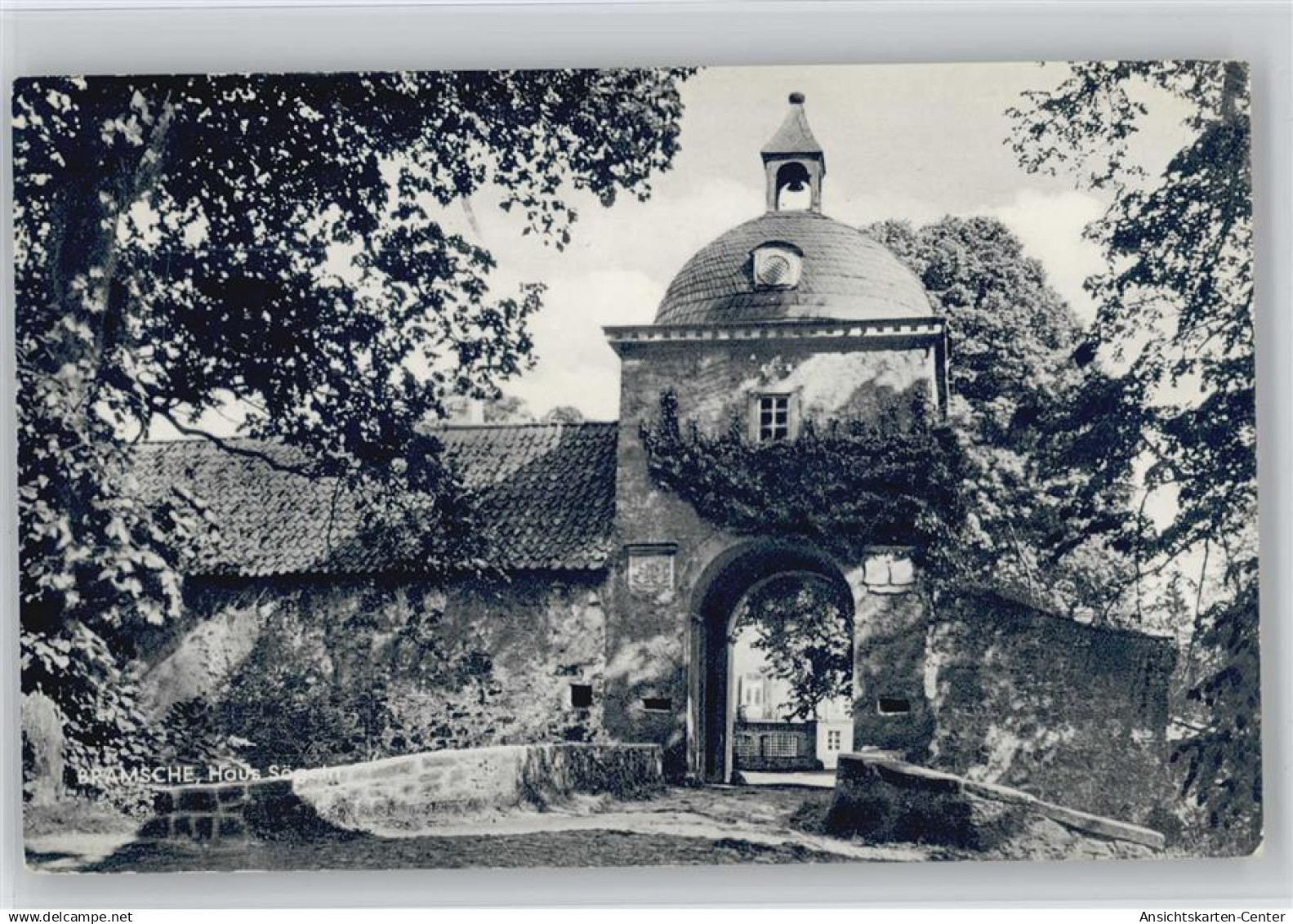 10056925 - Bramsche , Hase