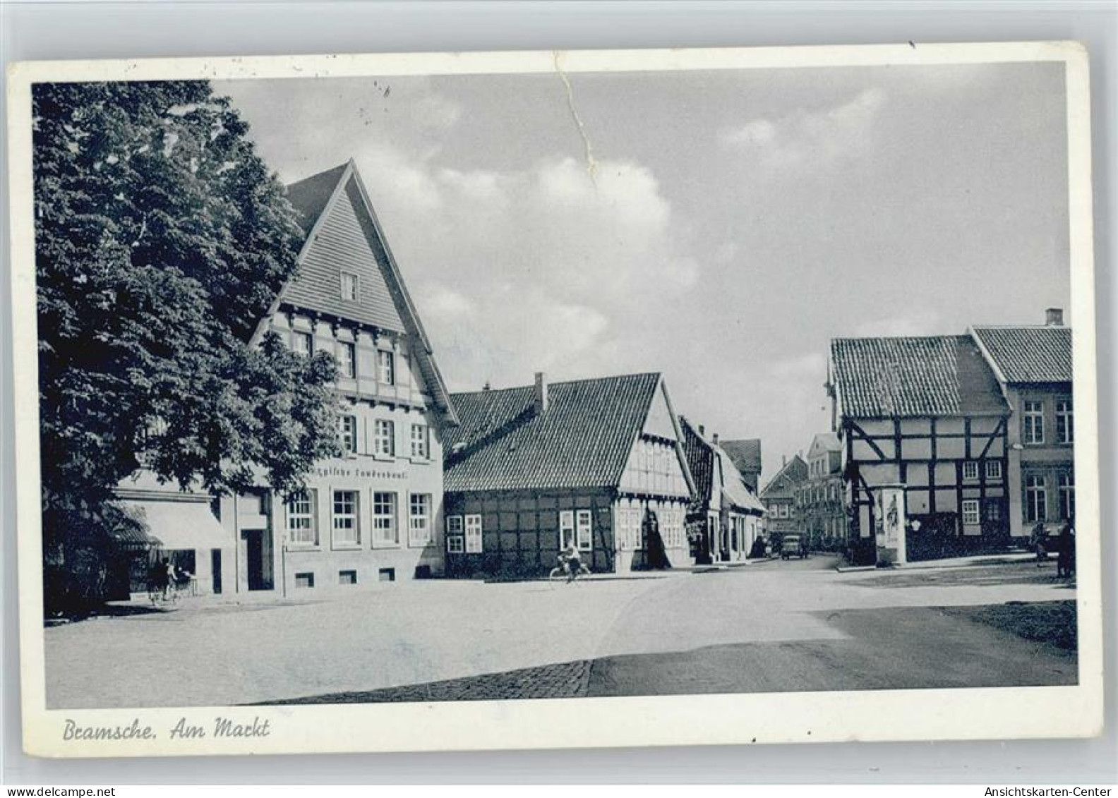 10056931 - Bramsche , Hase