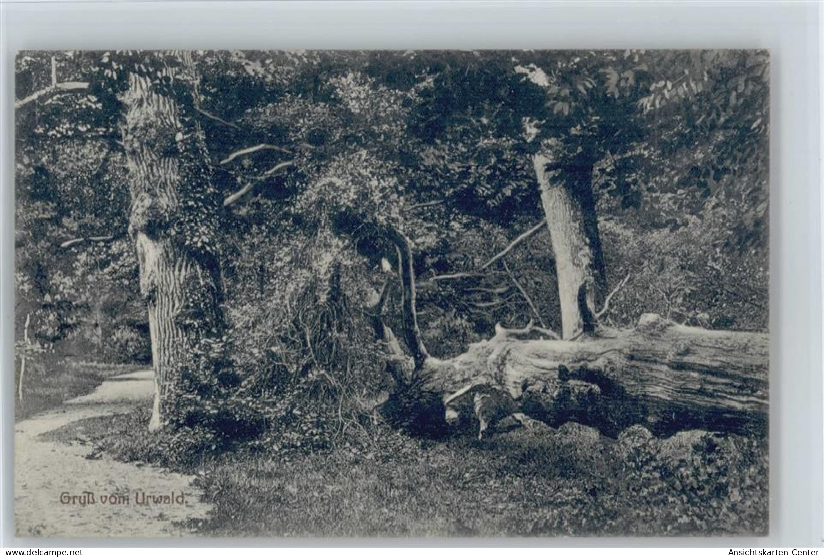 10057527 - Varel , Jadebusen