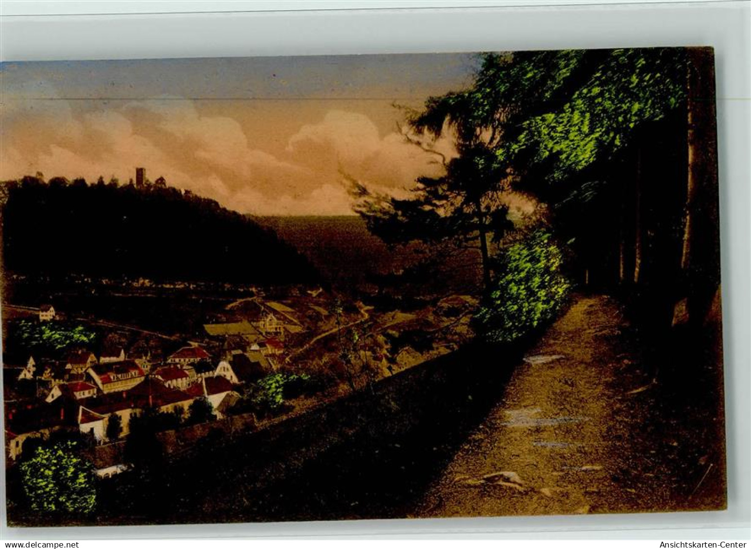 10060894 - Bad Teinach