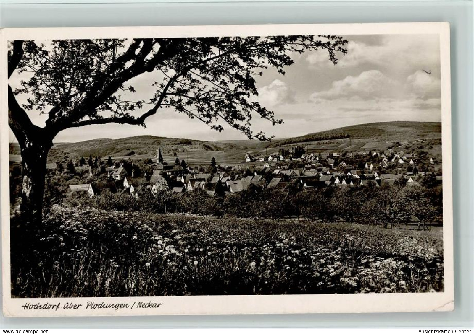 10061045 - Hochdorf b Plochingen