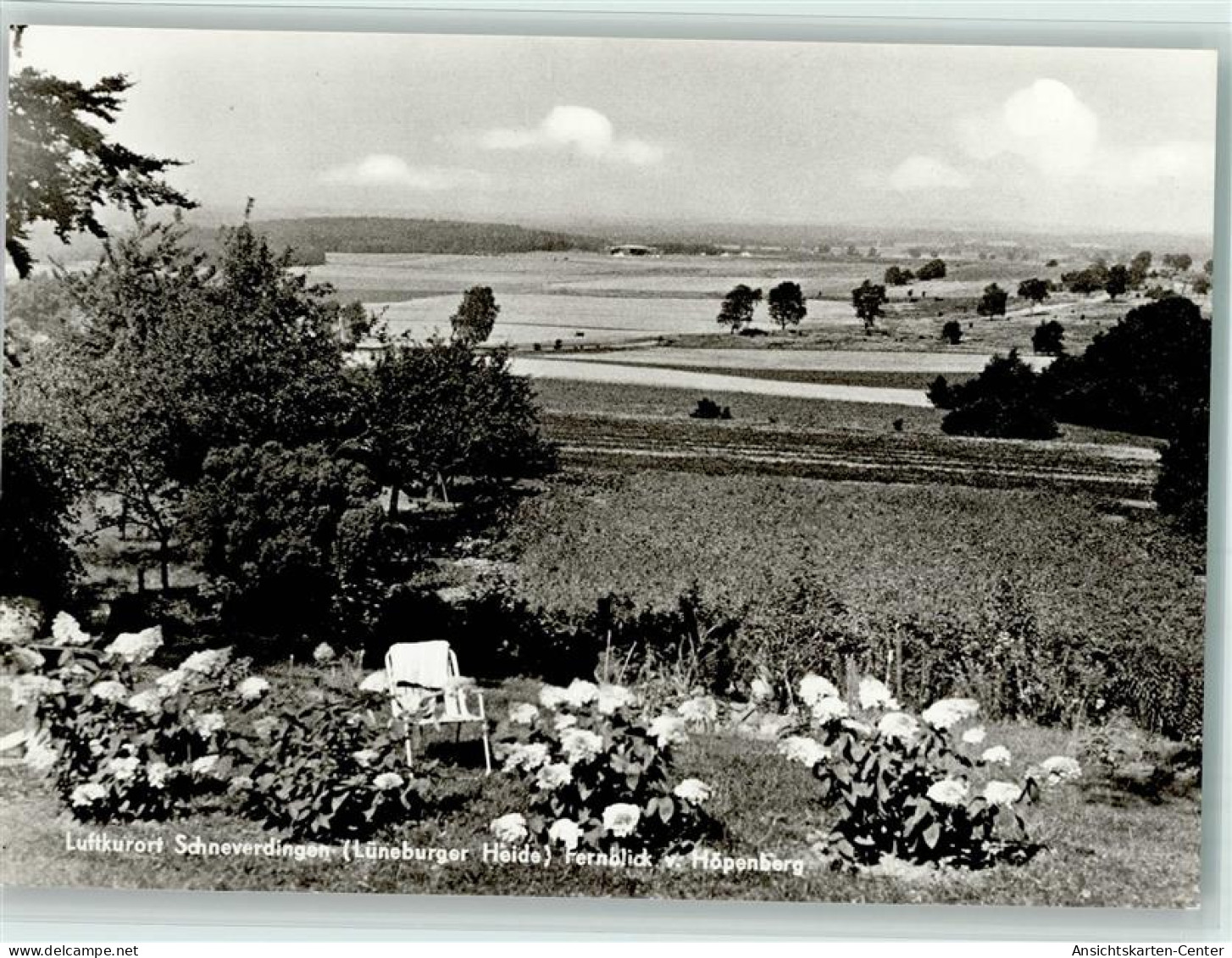 10072266 - Schneverdingen