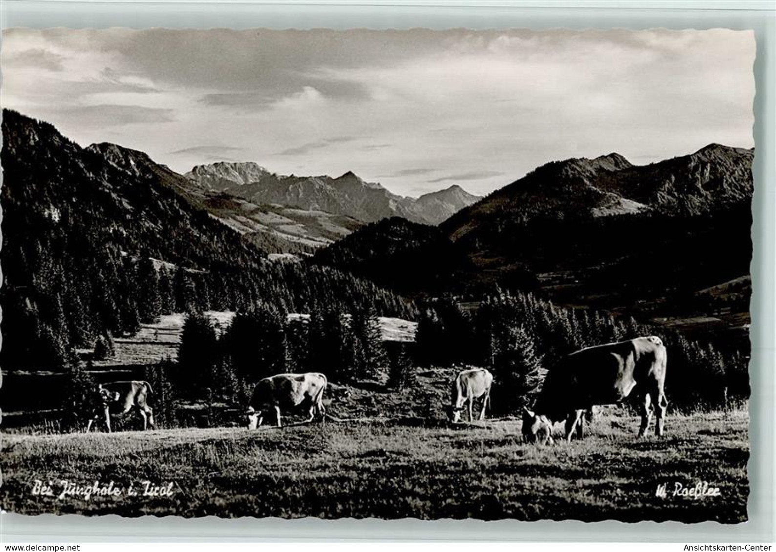 10073120 - Jungholz ,Tirol