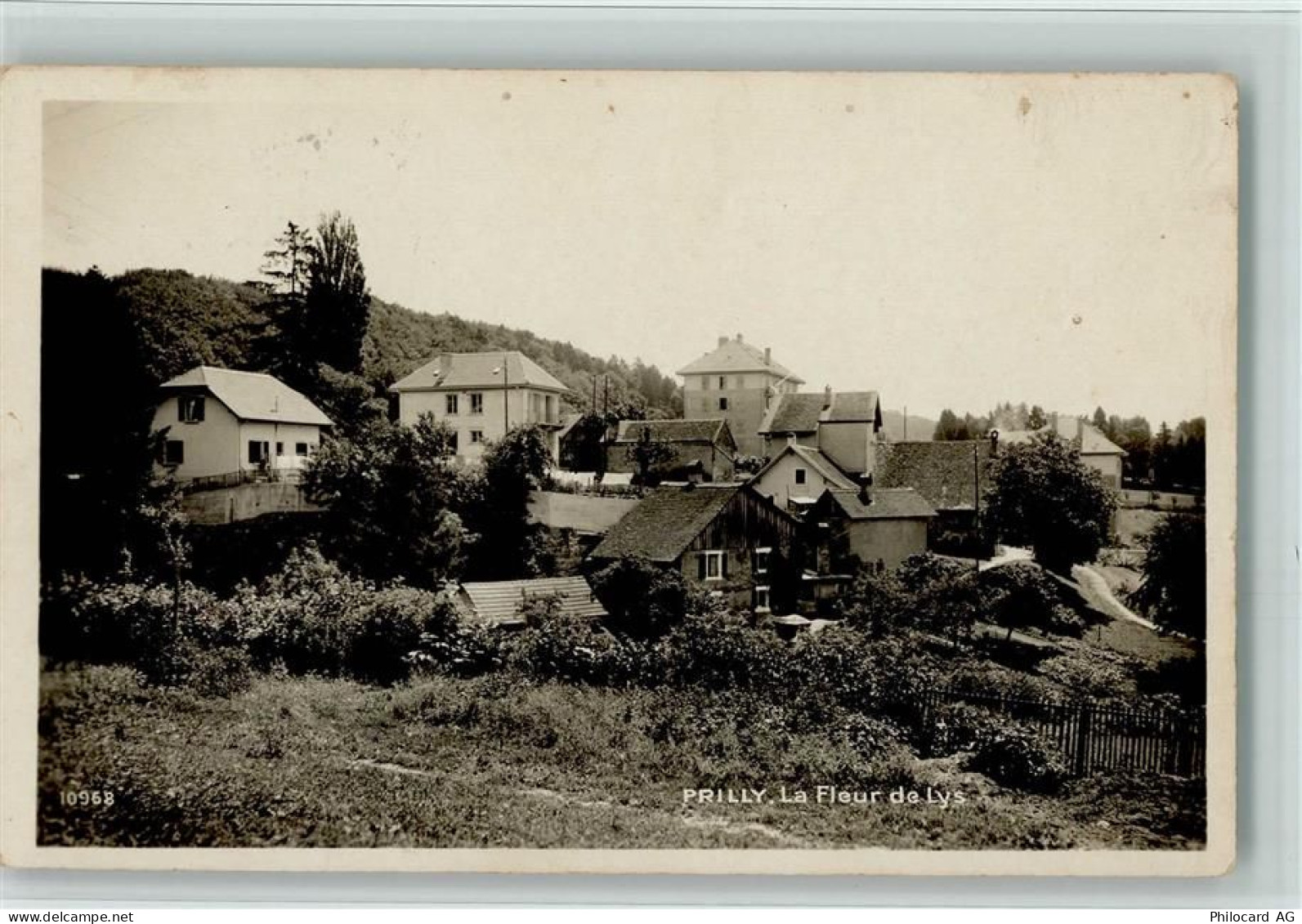 1008 Prilly 1933 Foto AK La fleur de Lys - 13085699