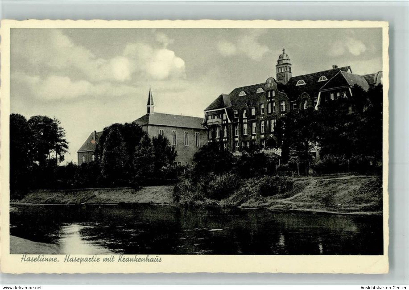 10085703 - Haseluenne