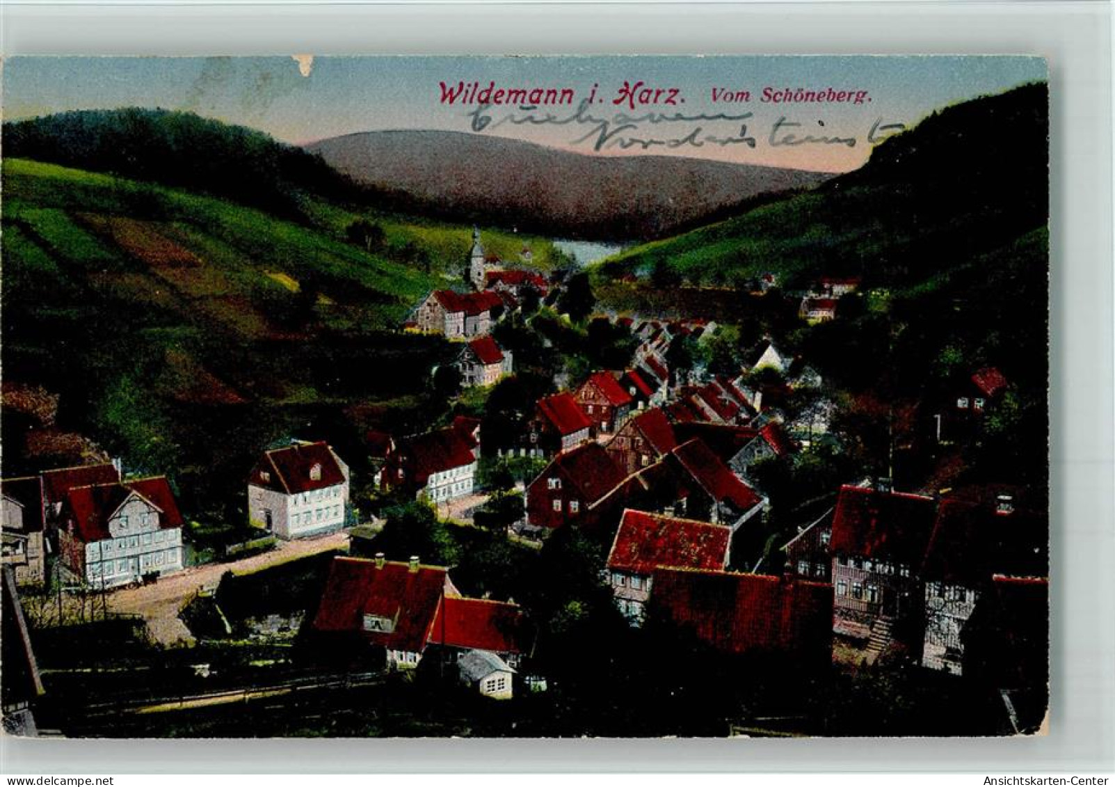 10088736 - Wildemann