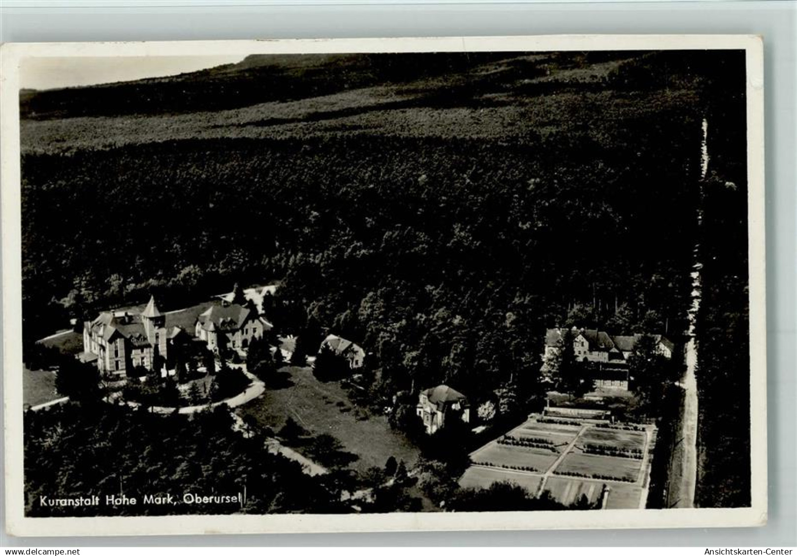 10088795 - Oberursel (Taunus)