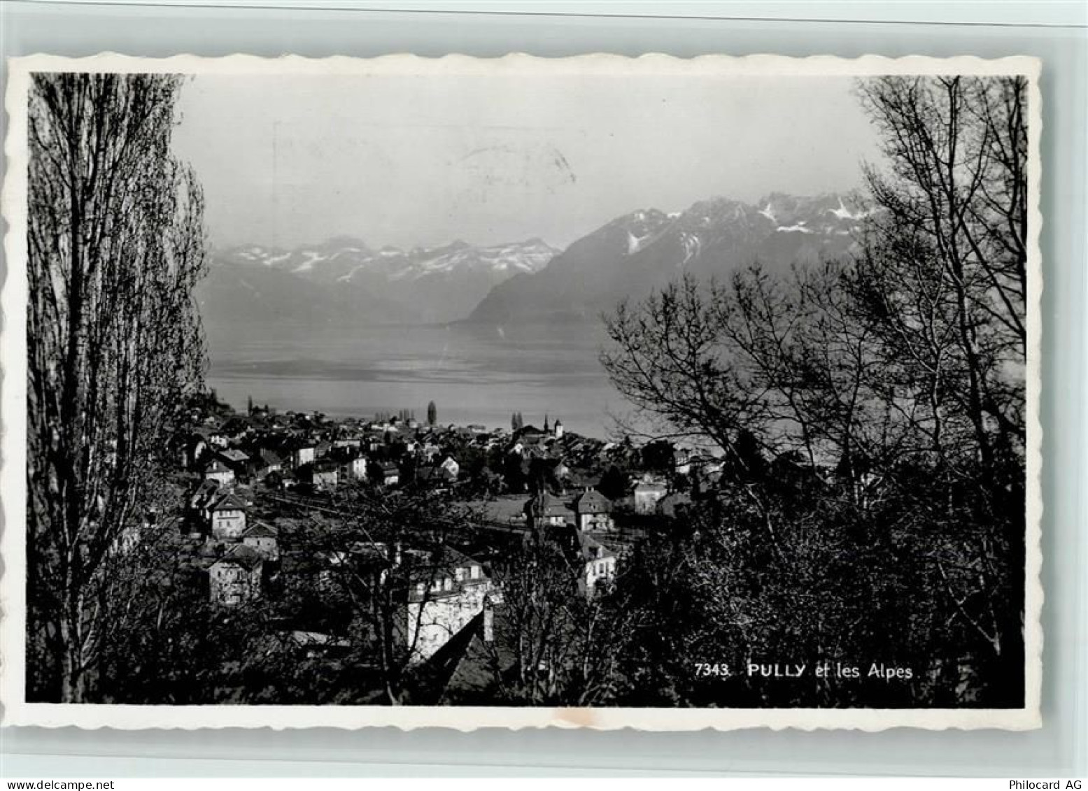 1009 Pully - Les Alpes Bäume - 11061303