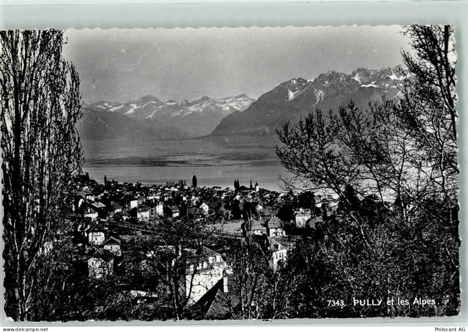 1009 Pully - Pully et les Alpes - 10282558