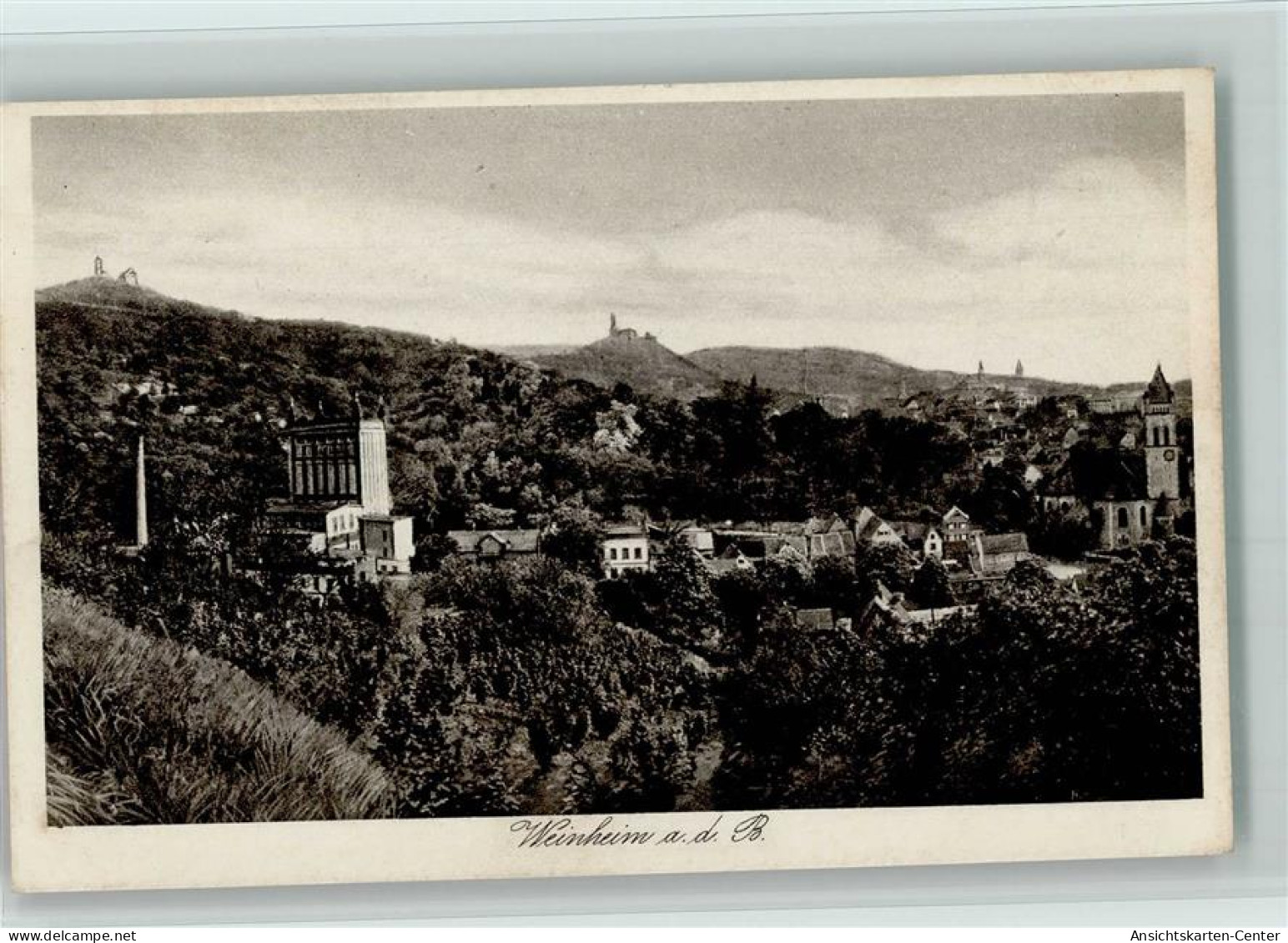 10091370 - Weinheim , Bergstr