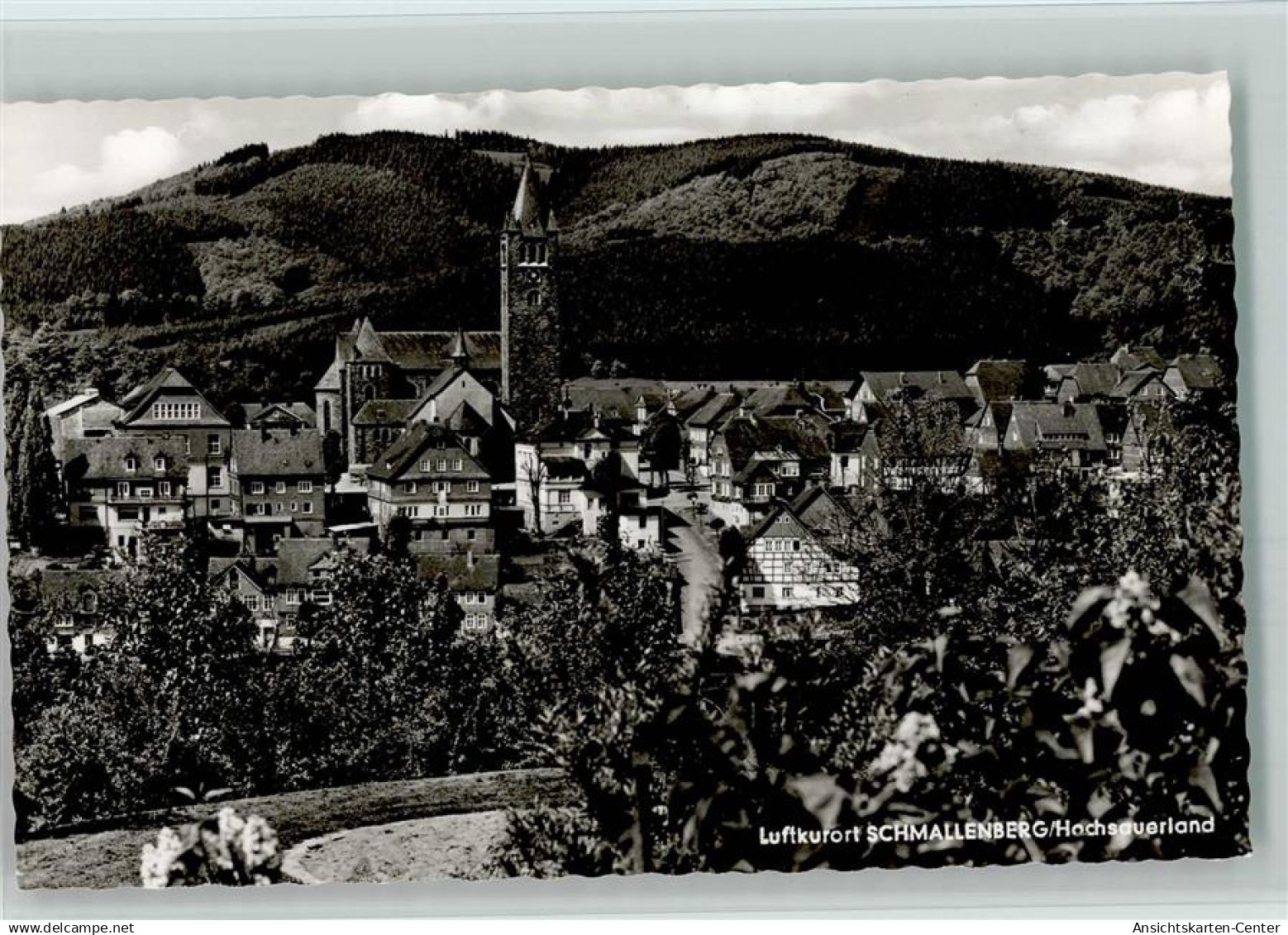 10092355 - Schmallenberg