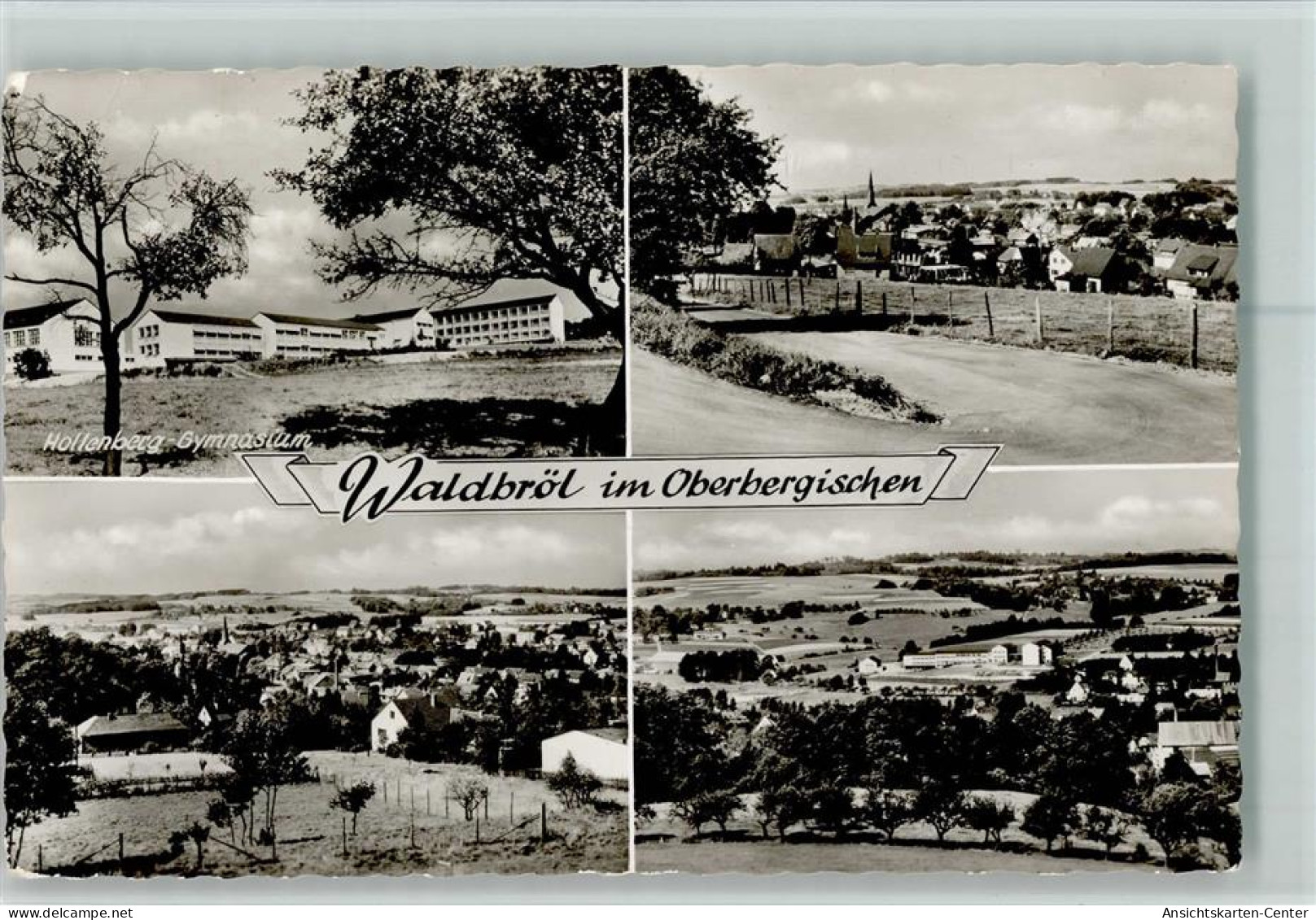 10092748 - Waldbroel