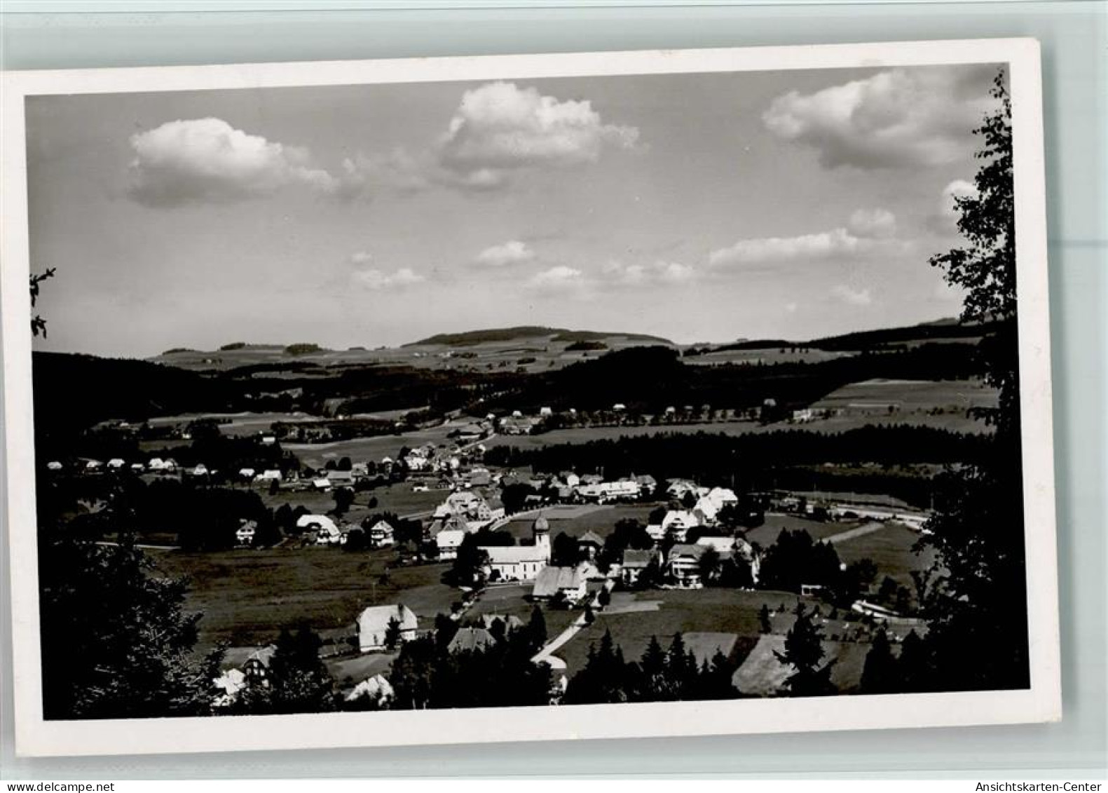 10094566 - Hinterzarten