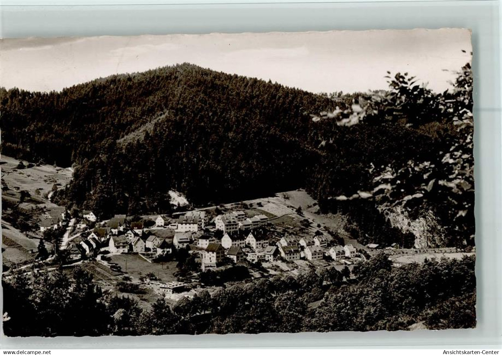 10094696 - Schiltach