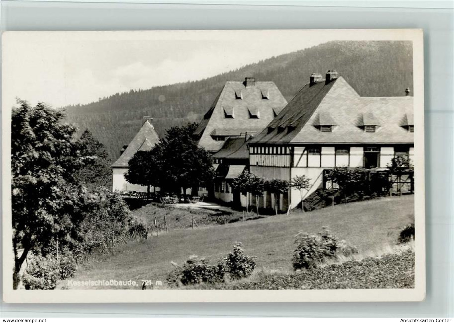 10099645 - Loewenberg Lwówek