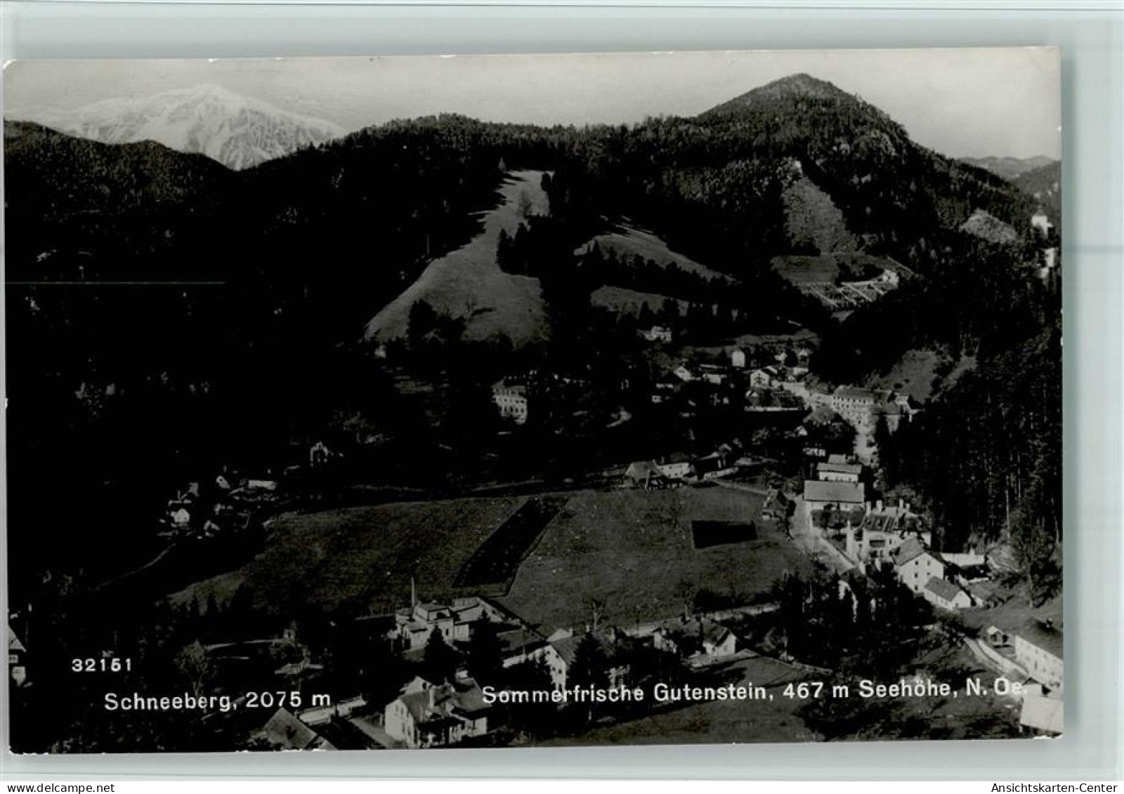 10103115 - Gutenstein