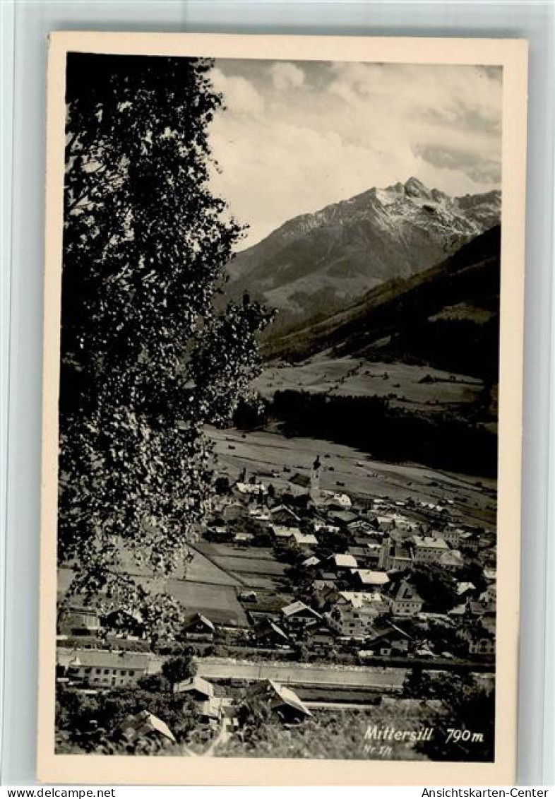 10103723 - Mittersill