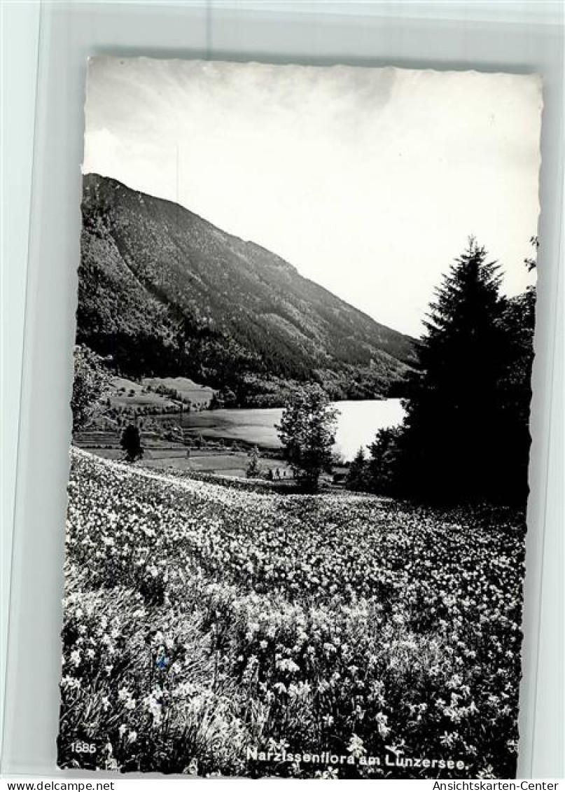 10103789 - Lunz am See