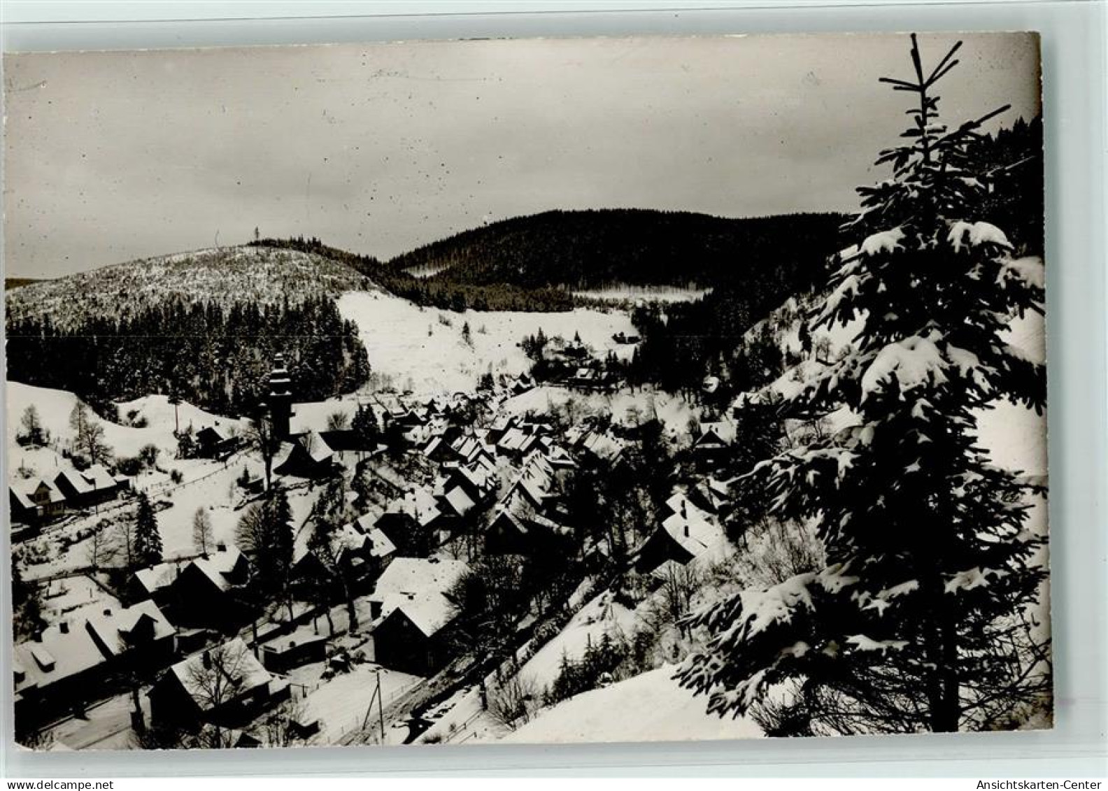 10140505 - Wildemann