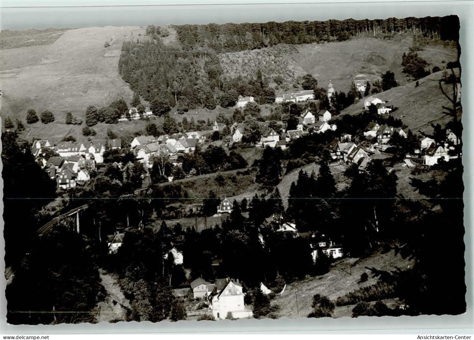 10140519 - Wildemann