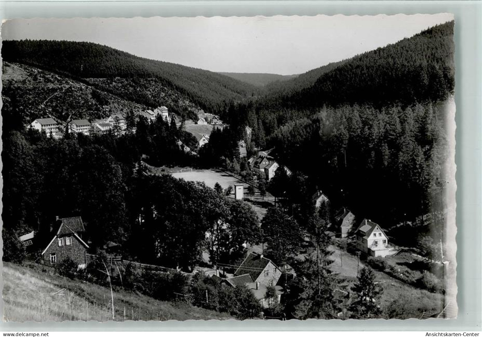 10140539 - Wildemann