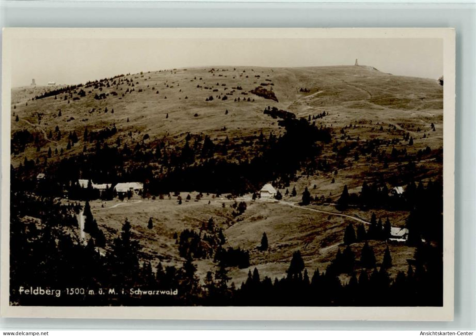 10140679 - Feldberg , Schwarzwald