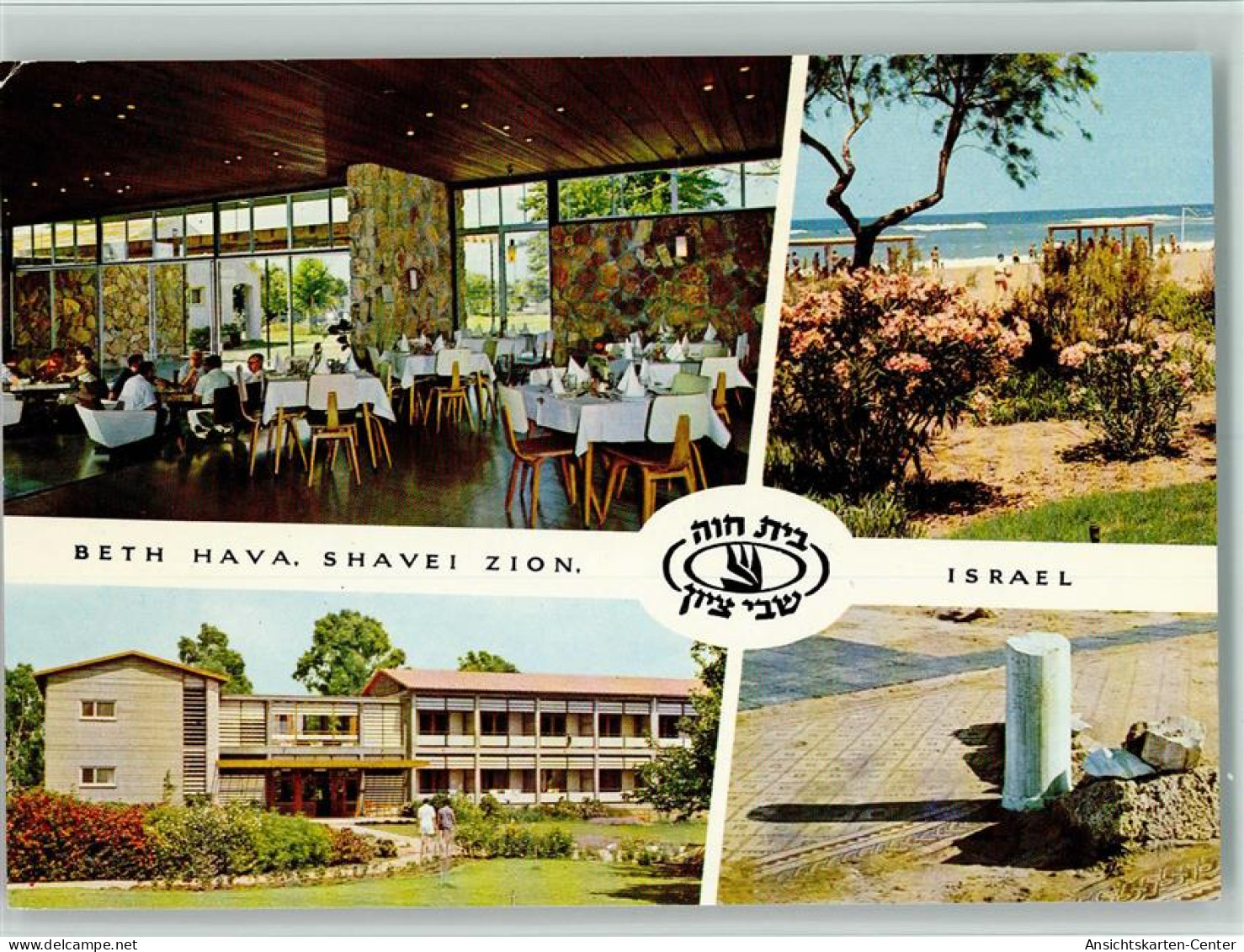 10144668 - Schawe Zion