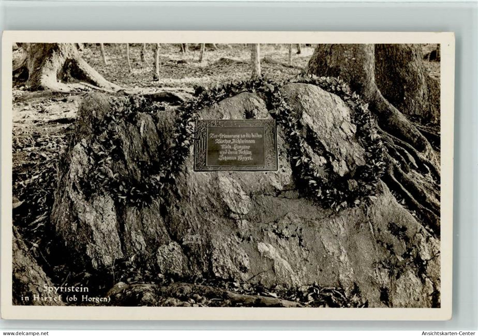 10148310 - Hirzel Spitzen