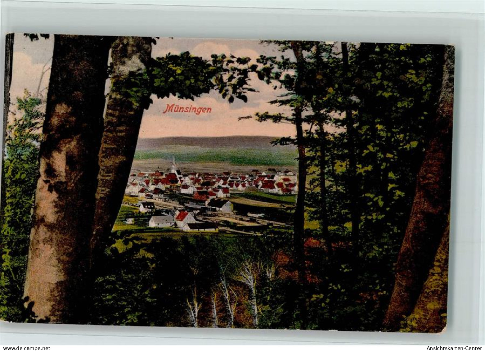 10164985 - Muensingen , Wuertt