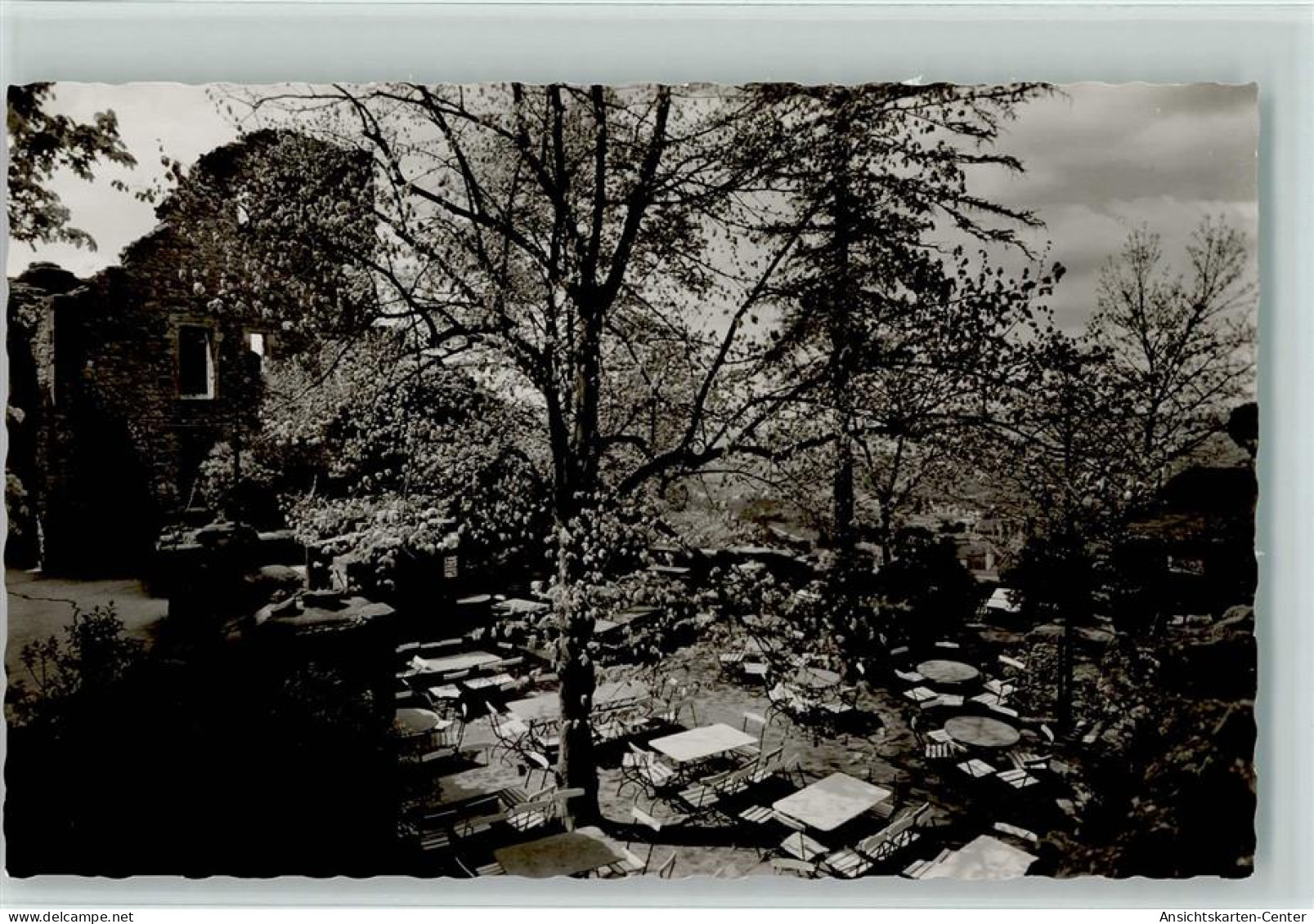 10165264 - Weinheim , Bergstr