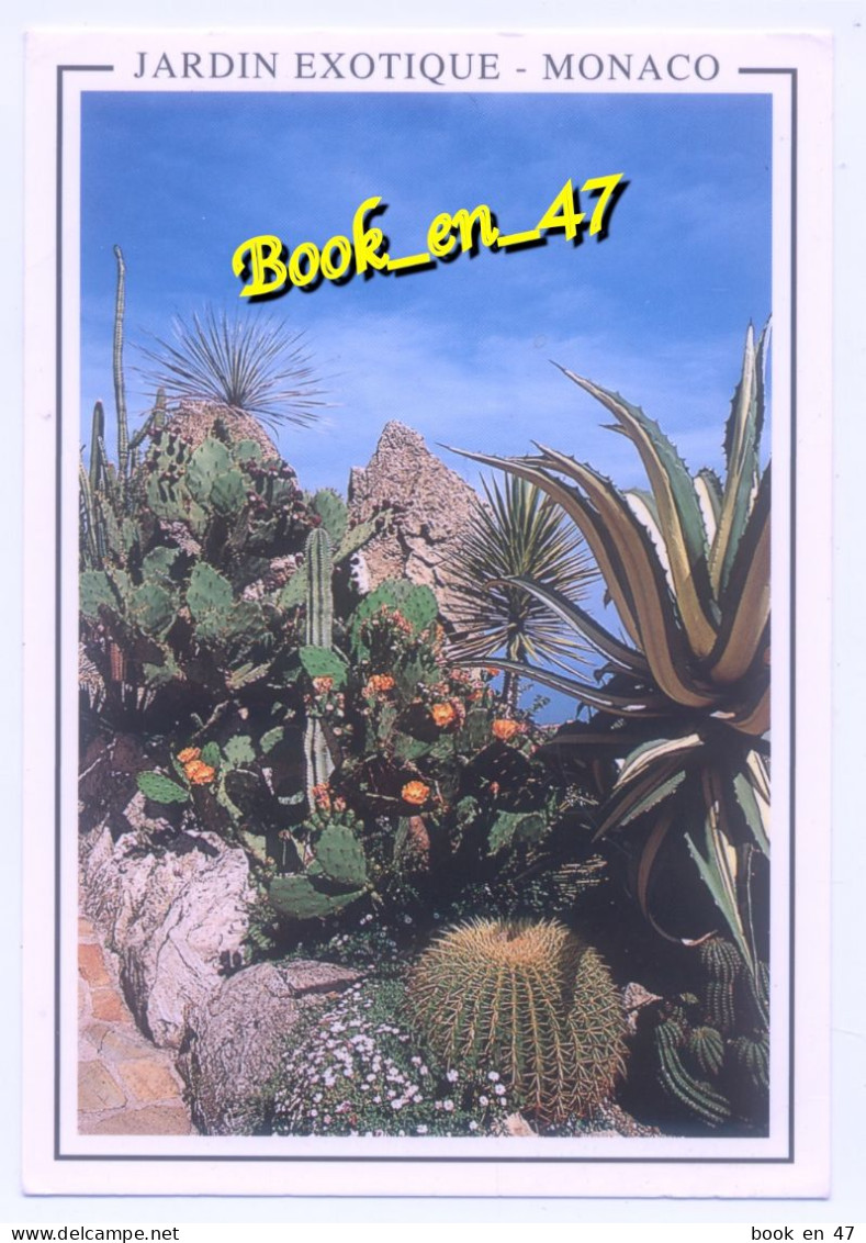 {101691} Monaco, Le jardin exotique (c)