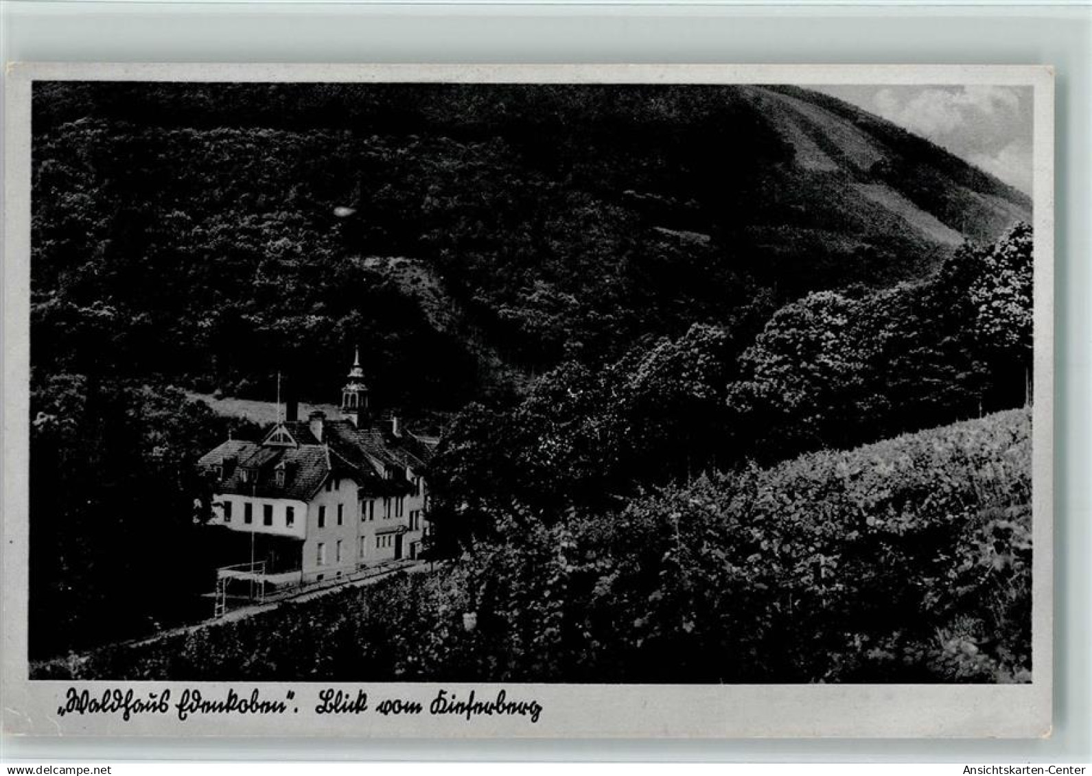 10180114 - Edenkoben