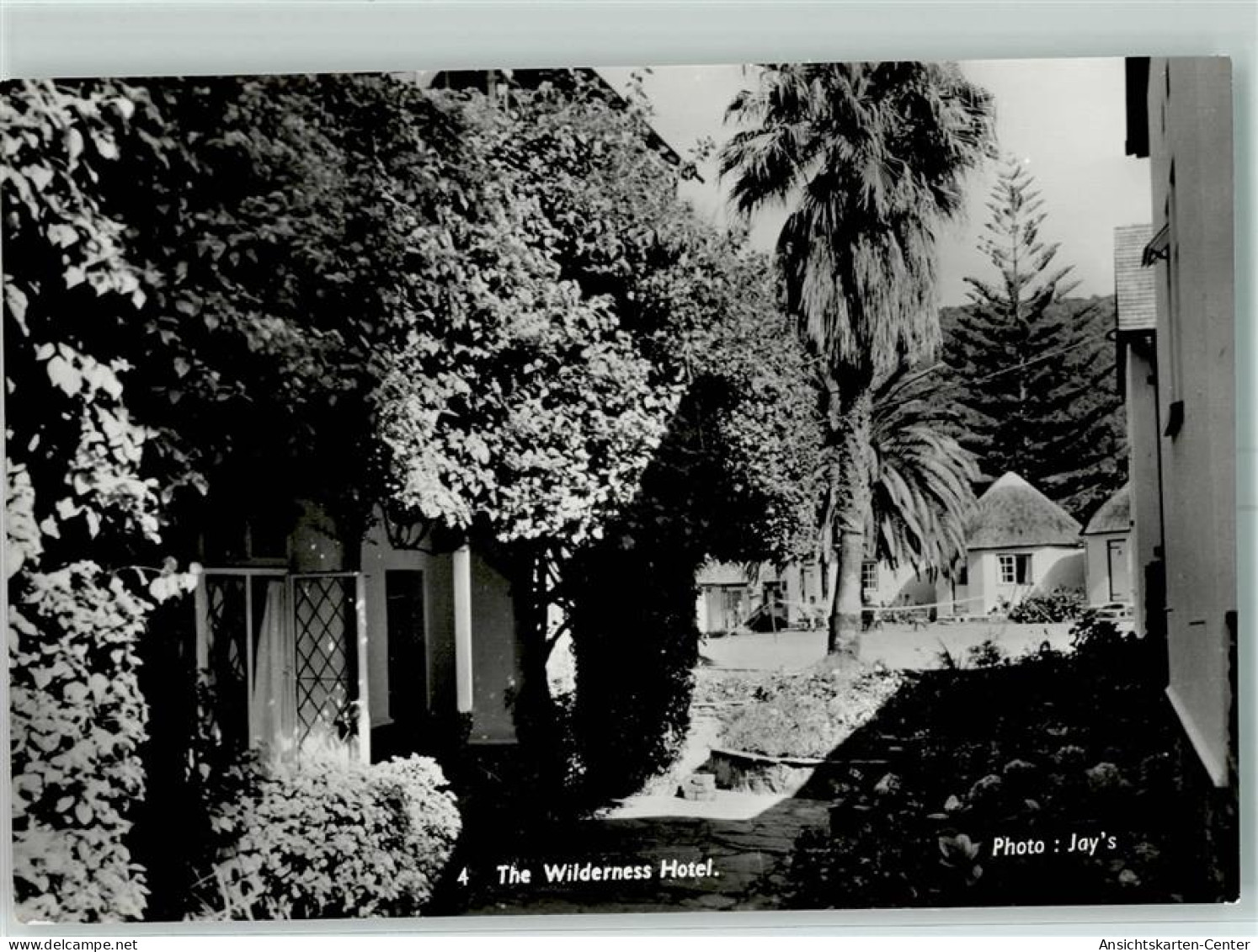 10191526 - Wilderness