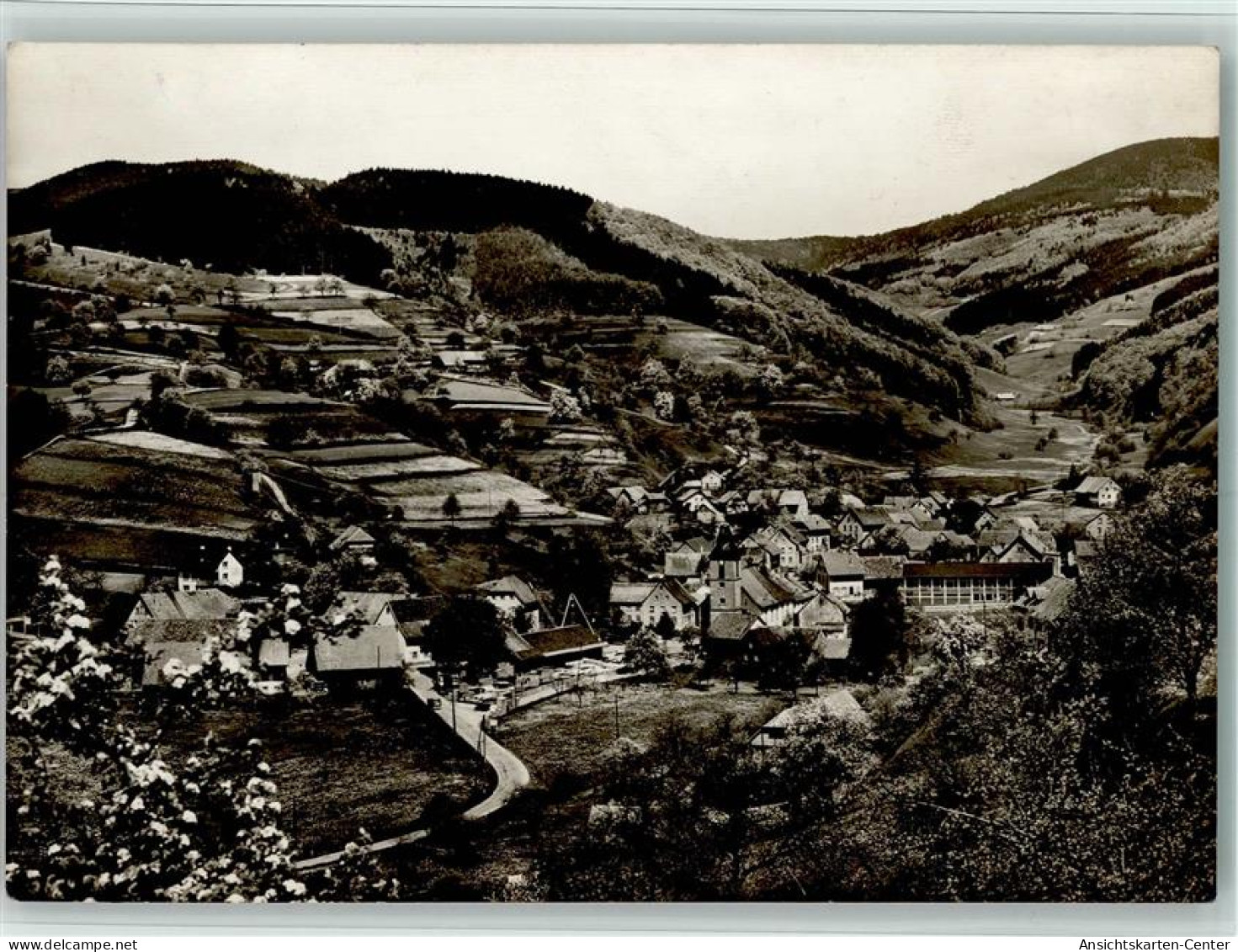 10201078 - Wies , Schwarzw