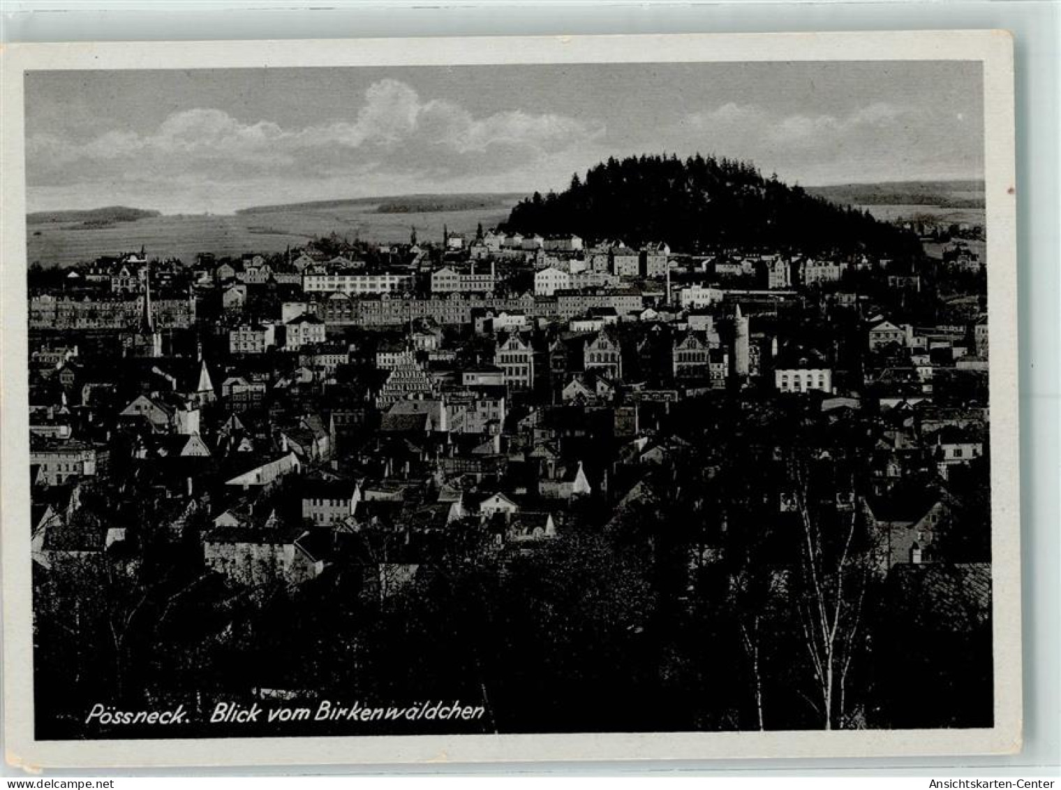 10210803 - Poessneck