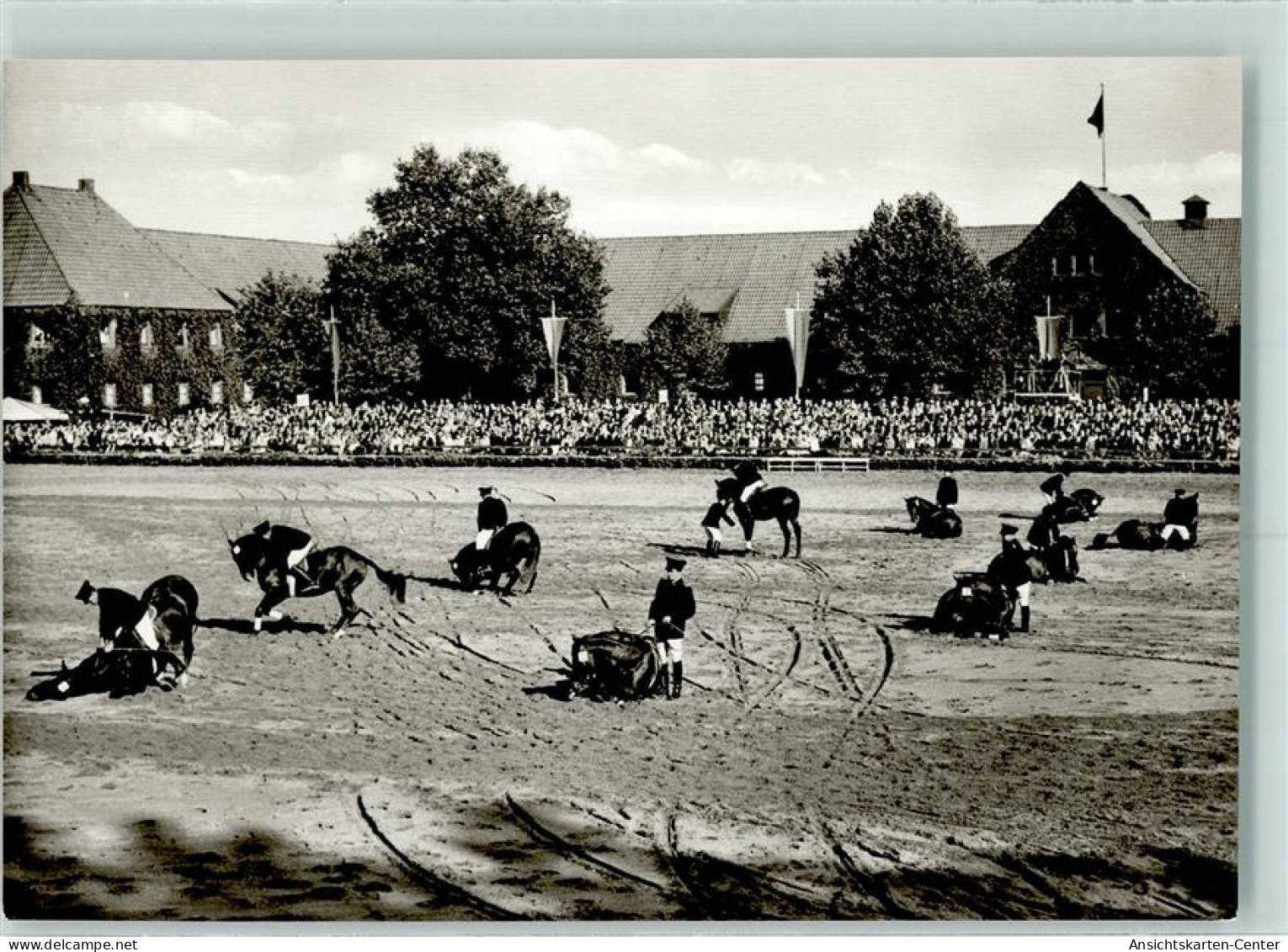 10213636 - Warendorf