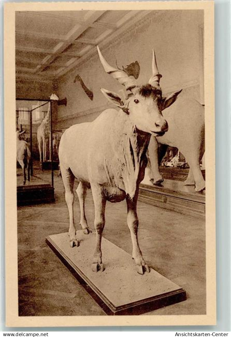 10219684 - Tervuren Tervueren