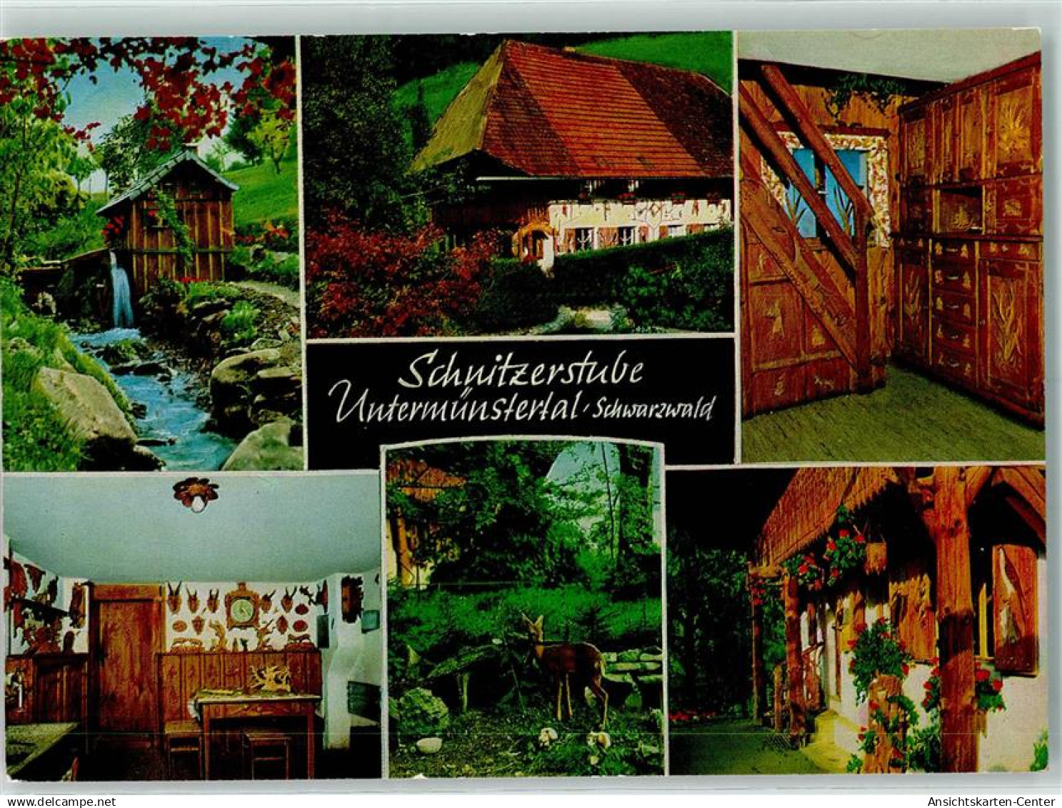 10250725 - Muenstertal , Schwarzwald