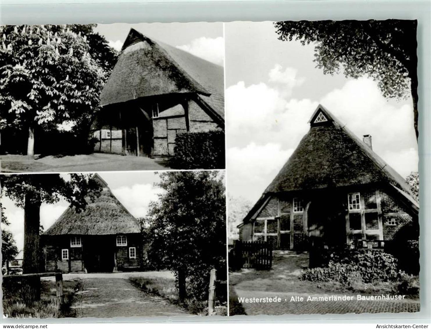 10251187 - Westerstede