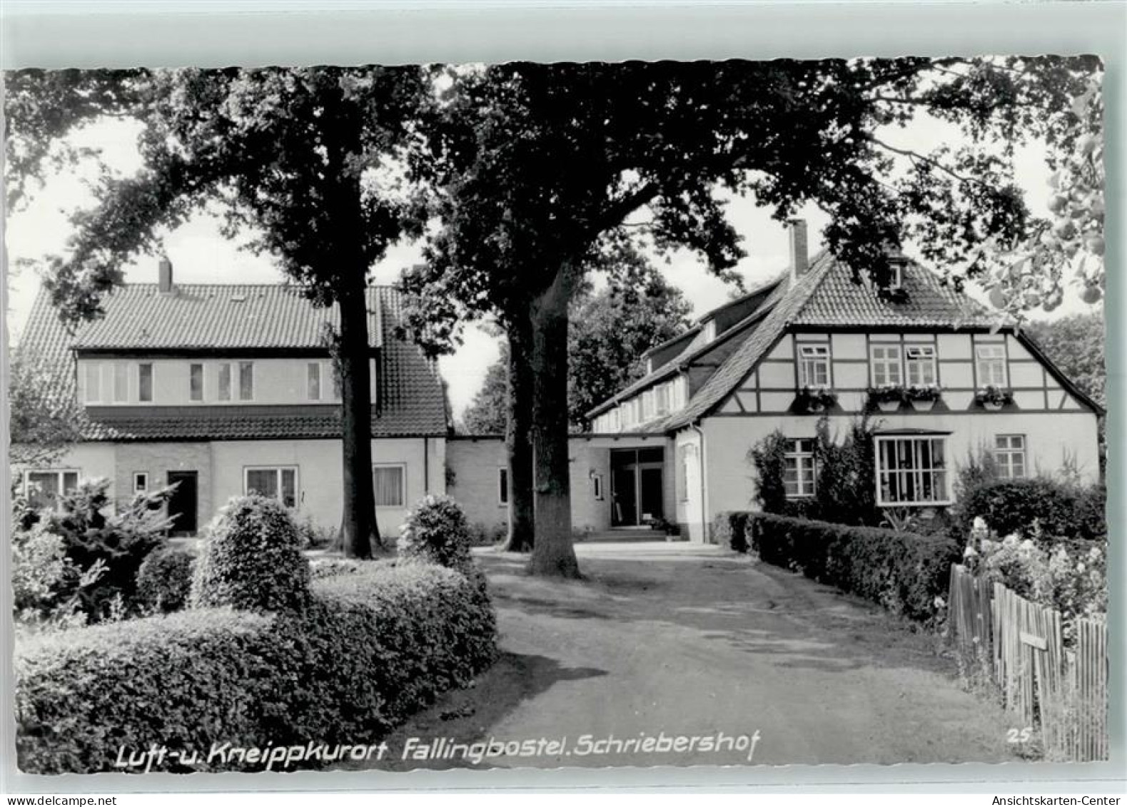 10254259 - Fallingbostel