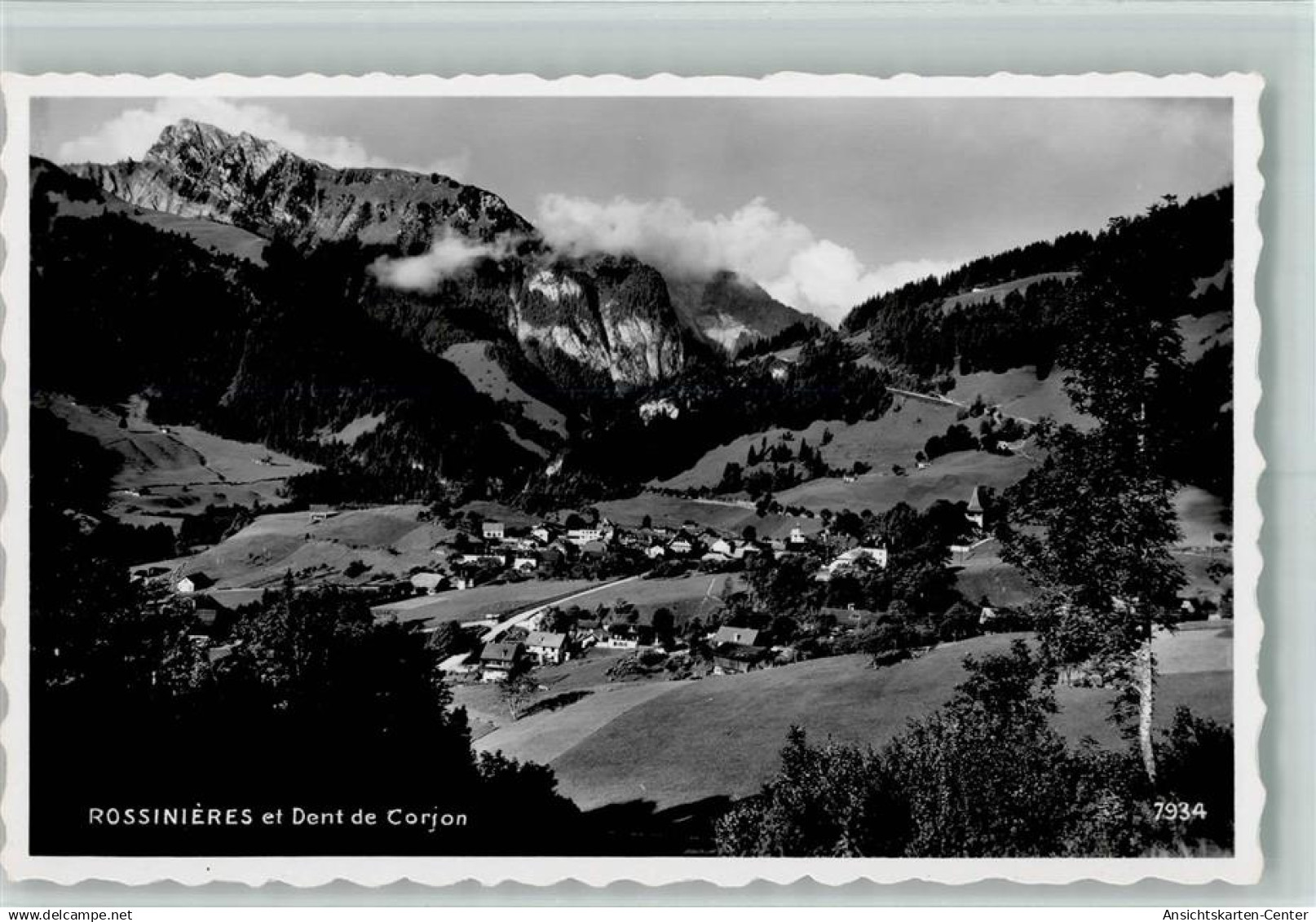 10257595 - Rossinière