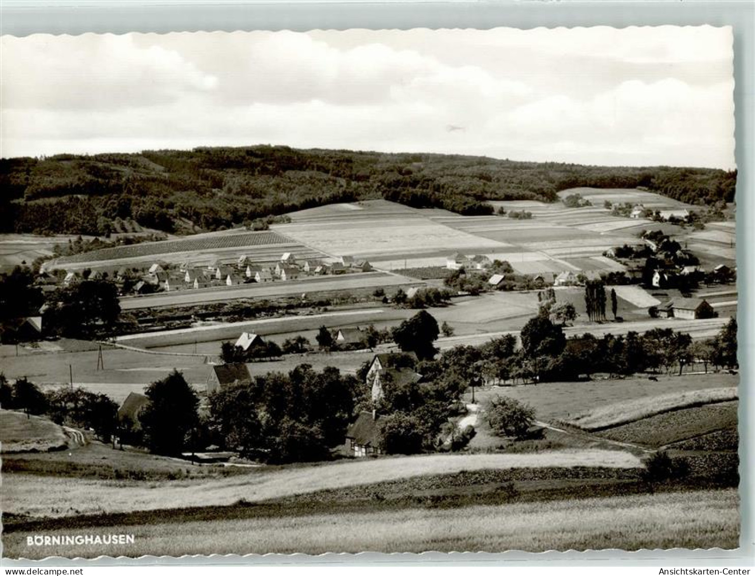 10265879 - Boerninghausen