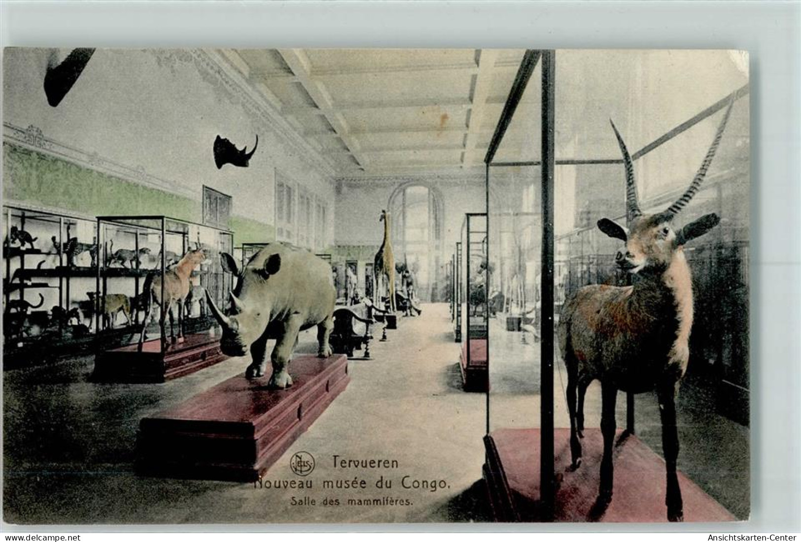 10266844 - Tervuren Tervueren