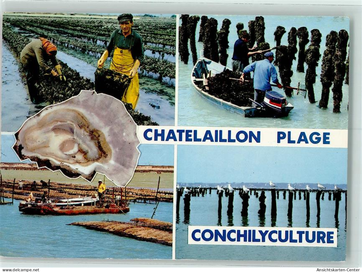 10270129 - Chatelaillon-Plage