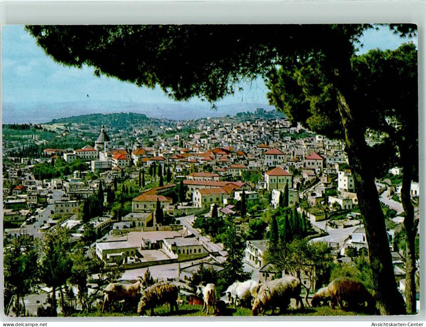 10274937 - Nazareth