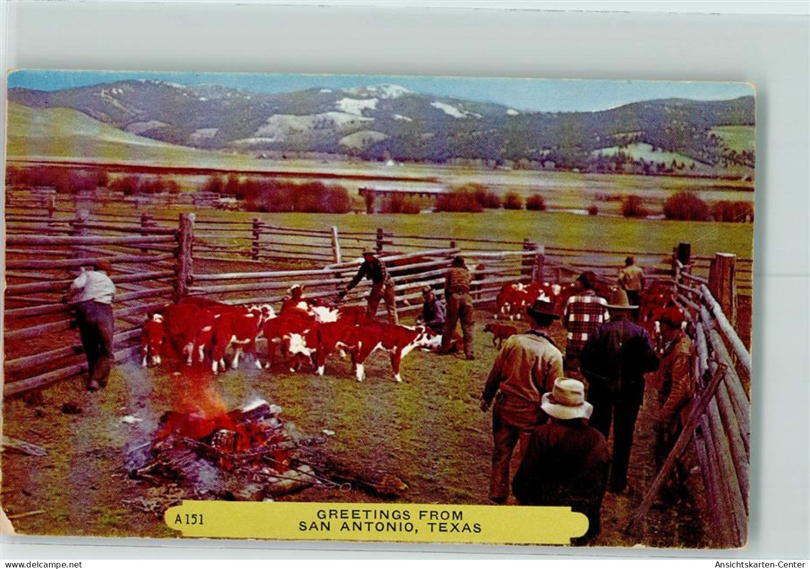 10284166 - San Antonio