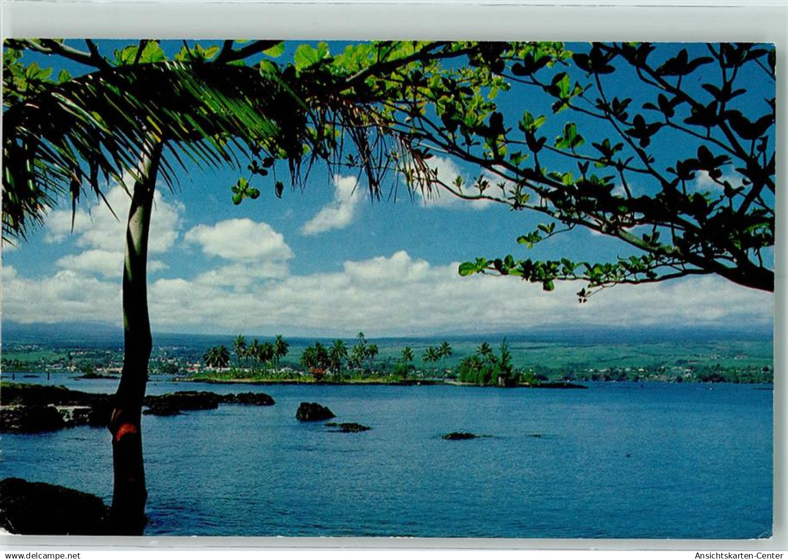 10285984 - Hilo